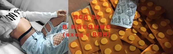 стаф Вязьма