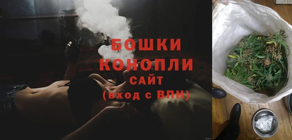 стаф Вязьма