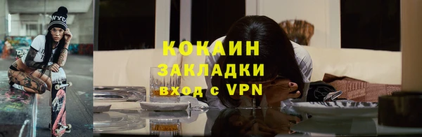 мдпв Вяземский