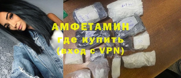 стаф Вязьма