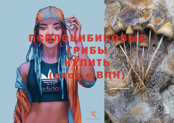 гашик Волосово