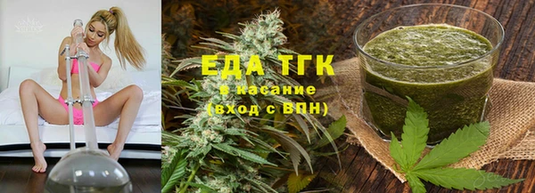 стаф Вязьма