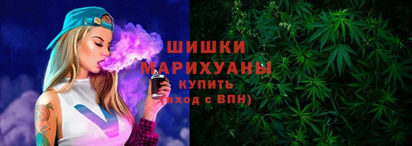стаф Вязьма
